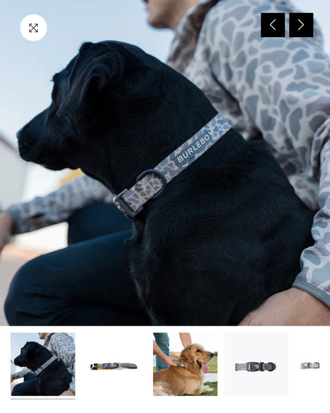 Burlebo dog collar