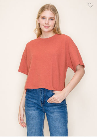 Cloudy knit round neck 1/2 sleeve top