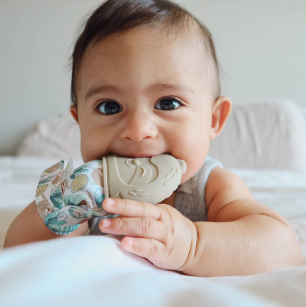 Silicone Teething Mitts: Cactus