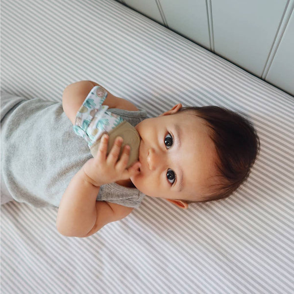 Silicone Teething Mitts: Cactus