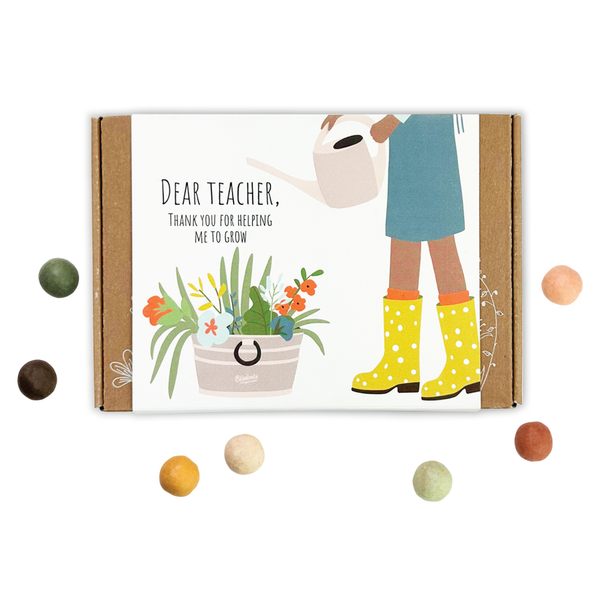 Blossombs Small Box - Dear Teacher-  7 Seed Bomb Balls