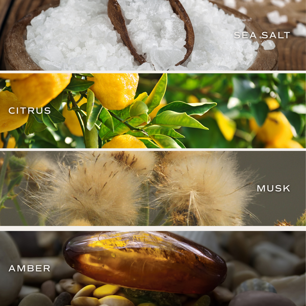 Best Teacher Ever 9 oz Soy Candle - Home Decor & Gifts