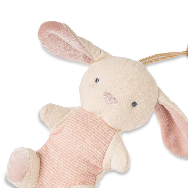 Bitzy Pal Natural Rubber Pacifier & Stuffed Animal: Bunny