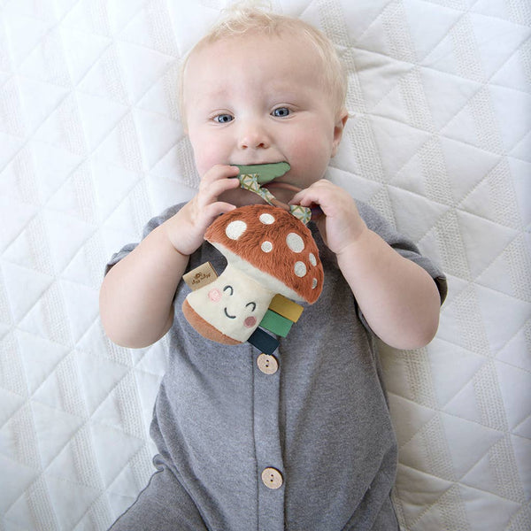 Itzy Pal™ Plush + Teether: Rainbow