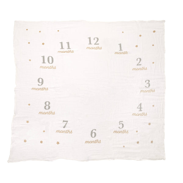 Milestone Blanket & Prop Set Kit, Infant Milestone Markers